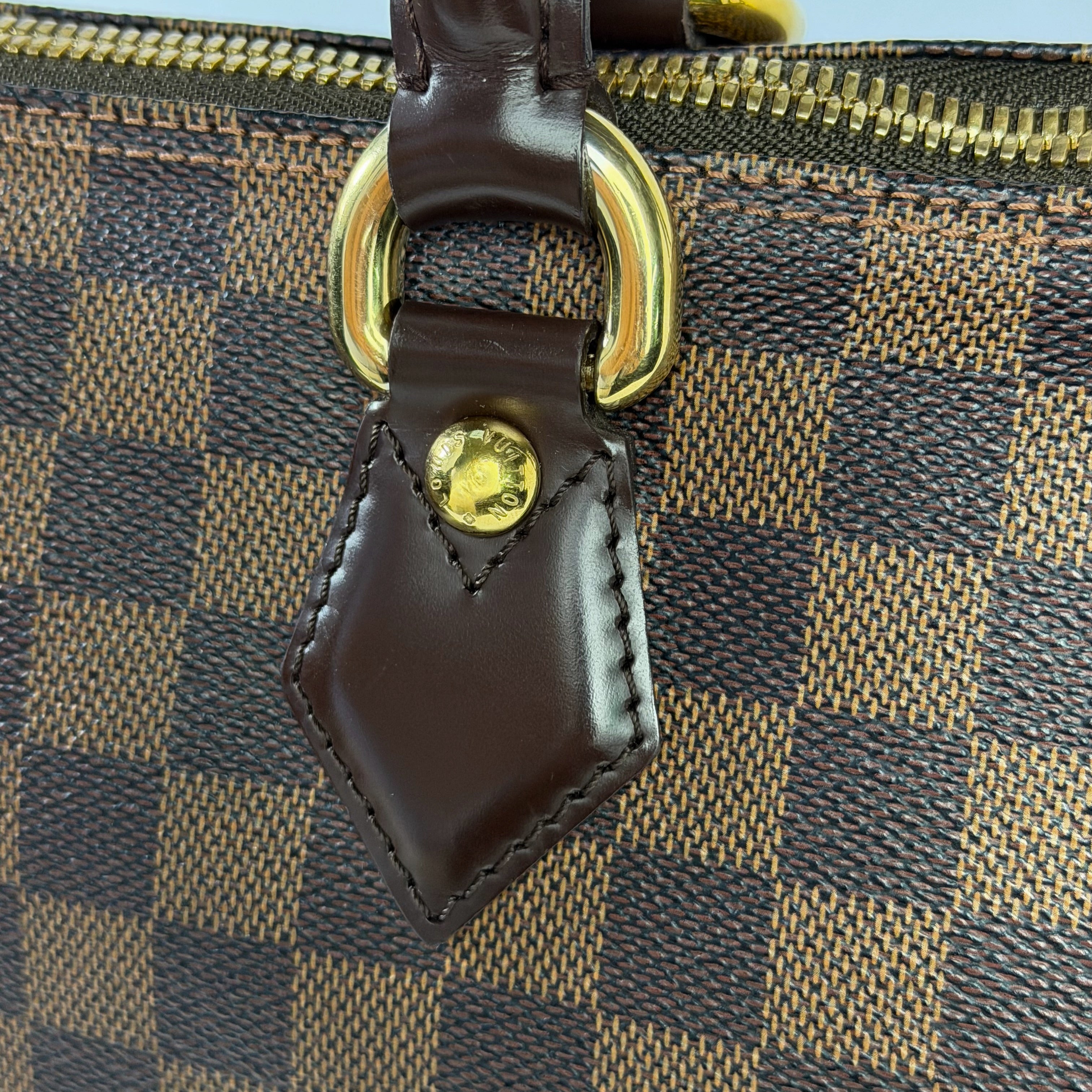 Louis Vuitton Saleya MM Damier Ébène