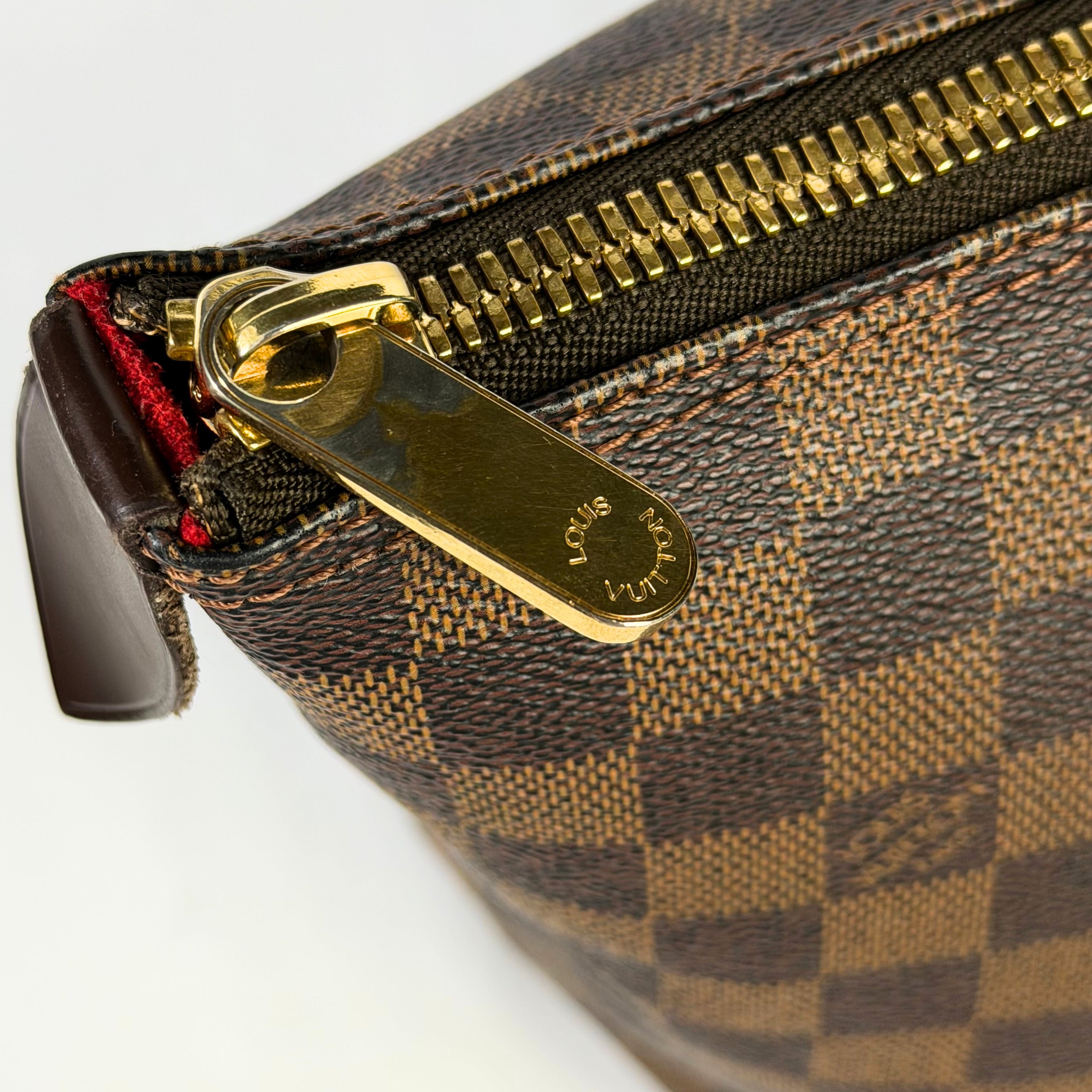 Louis Vuitton Saleya MM Damier Ébène