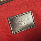 Louis Vuitton Trevi PM – Damier Ebene